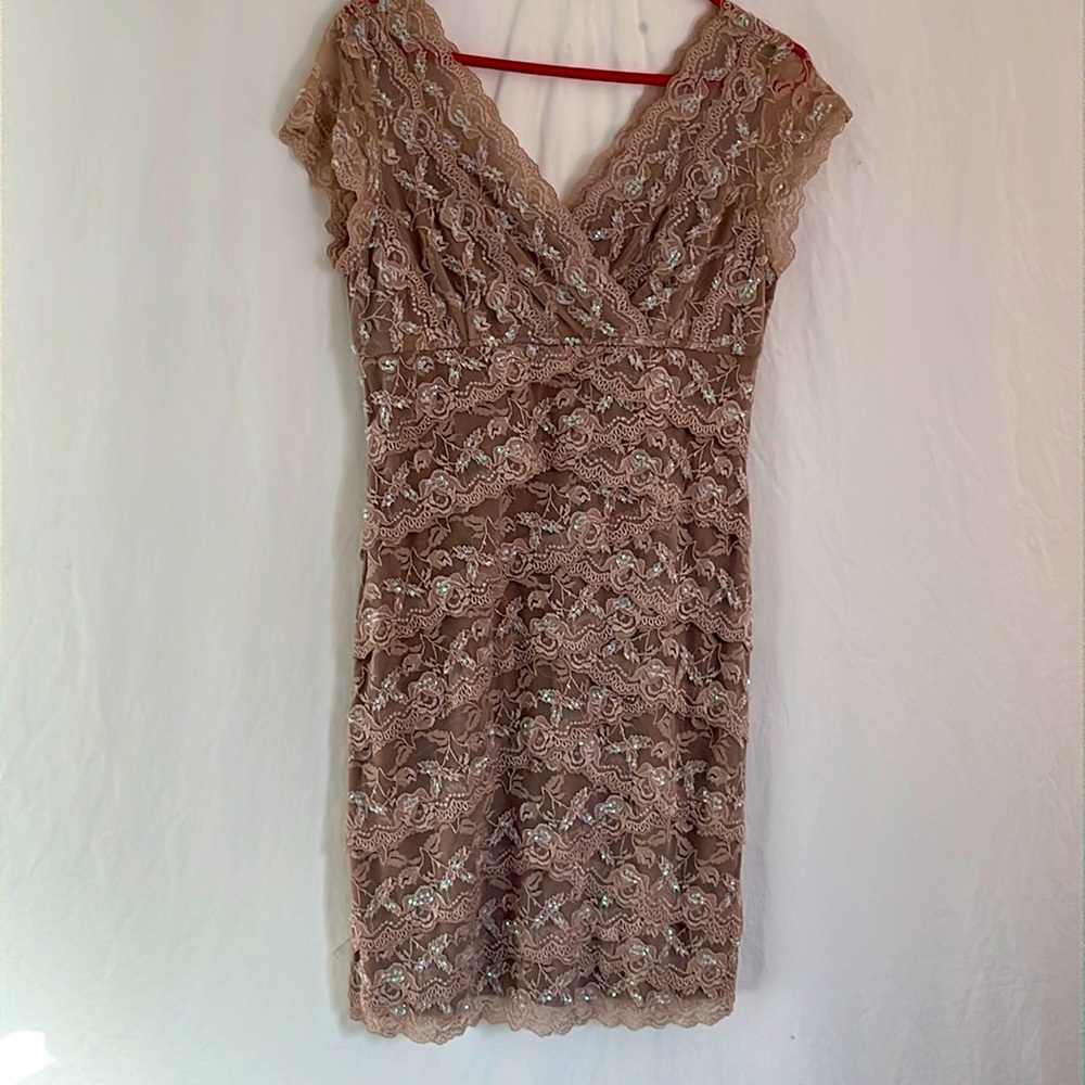 Dress Barn taupe/sequined pullover dress